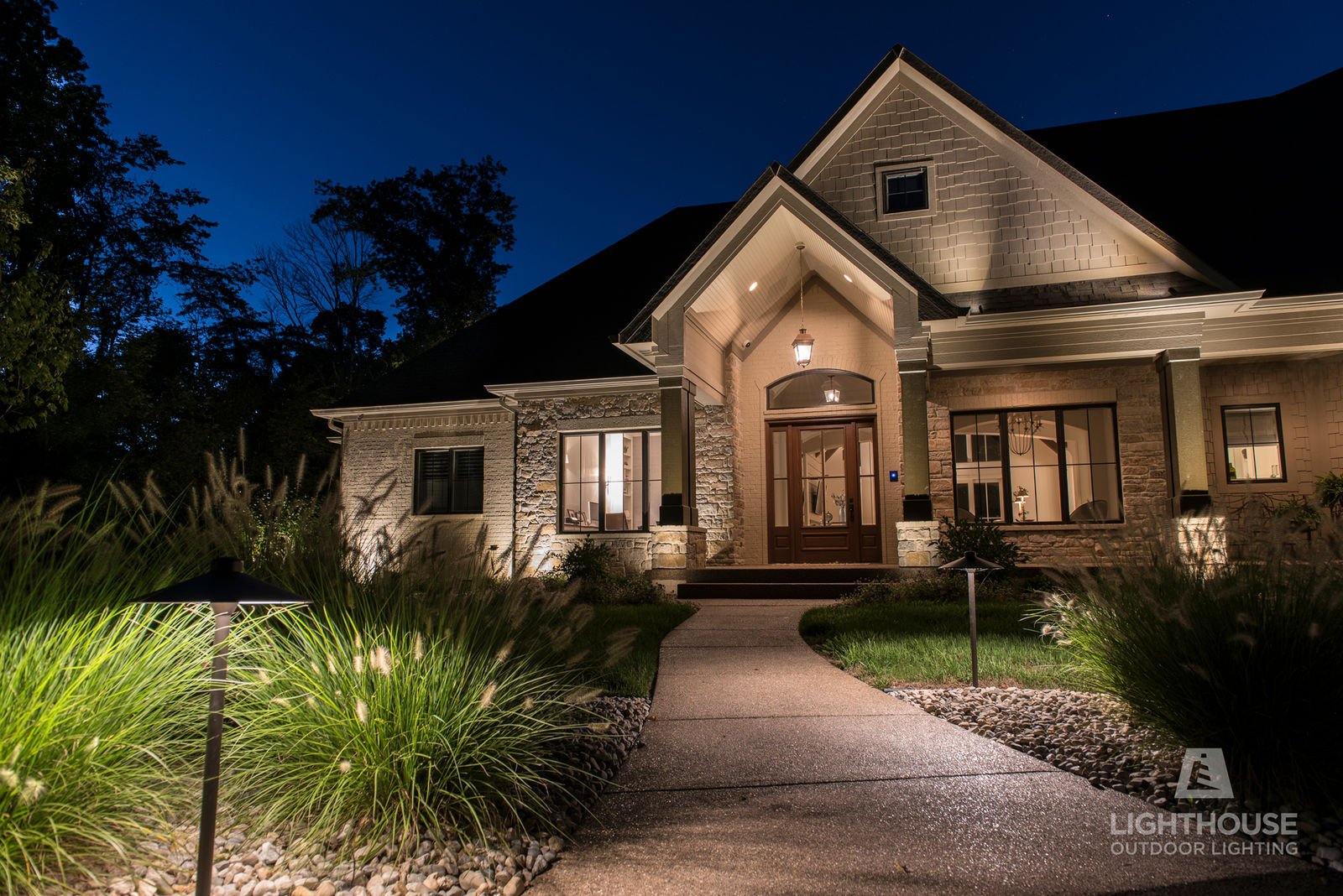 Tree canopy lighting at night